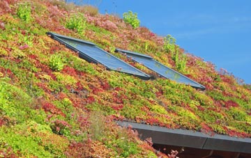 Cotehill living roof systems